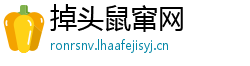 掉头鼠窜网